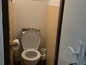 Pronájem pokoje, Praha - Holešovice, Bubenská, 19 m2