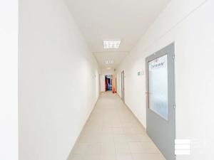 Pronájem výrobních prostor, Neratovice, Na Výsluní, 140 m2