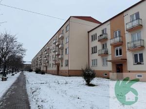 Pronájem bytu 2+1, Štětí, Školní, 53 m2