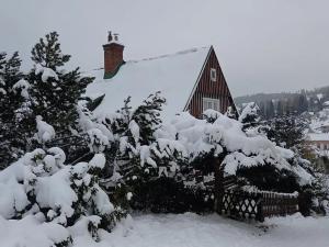 Prodej chalupy, Rokytnice nad Jizerou, 200 m2