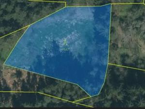 Prodej podílu lesa, Smilovy Hory, 2675 m2
