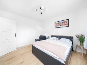 Prodej bytu 2+kk, Praha - Žižkov, Chlumova, 48 m2