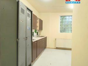 Pronájem obchodního prostoru, Slaný, Husova, 83 m2