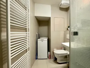 Pronájem bytu 1+kk, Brno, Mlýnská, 32 m2