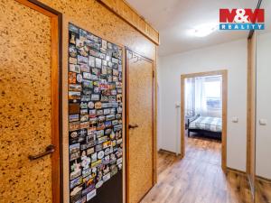 Pronájem bytu 2+kk, Mělník, Sportovní, 49 m2