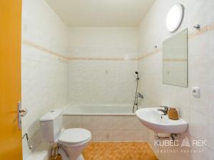 Pronájem bytu 5+1, Borotín, 150 m2