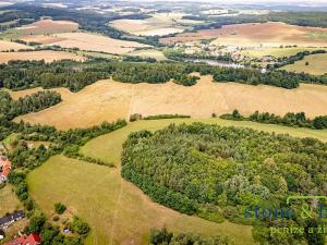 Prodej lesa, Zvěstov, 45954 m2
