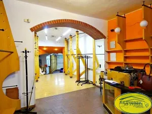 Pronájem obchodního prostoru, Olomouc, Ostružnická, 149 m2