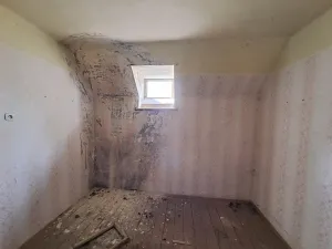 Prodej rodinného domu, Dlouhá Loučka, Valšův Důl, 195 m2