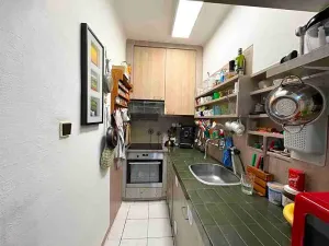 Prodej vícegeneračního domu, Vizovice, Palackého Nám., 240 m2