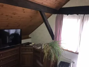 Dražba rodinného domu, Býšť, 1618 m2