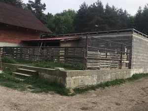 Dražba rodinného domu, Býšť, 1618 m2