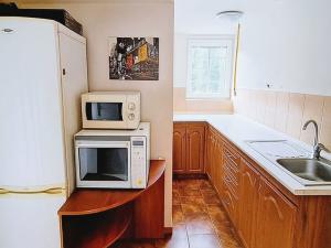 Pronájem bytu 1+1, Městečko, 70 m2