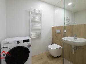 Pronájem bytu 1+kk, Ostrava, Cihelní, 17 m2