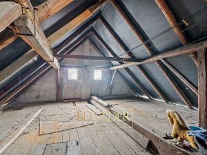 Prodej rodinného domu, Bořislav, 195 m2