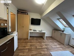 Prodej bytu 1+kk, Brno - Černovice, Olomoucká, 20 m2