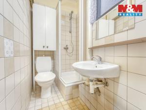 Pronájem bytu 1+kk, Plzeň - Východní Předměstí, Šafaříkovy sady, 23 m2