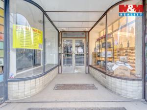 Pronájem bytu 1+kk, Plzeň - Východní Předměstí, Šafaříkovy sady, 23 m2