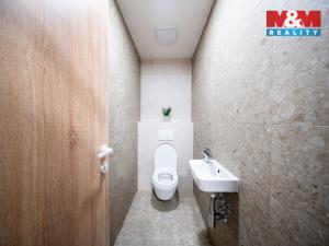 Prodej bytu 1+kk, Brandýs nad Labem-Stará Boleslav, Dřevčická, 37 m2