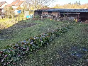 Prodej rodinného domu, Lomnička, 300 m2