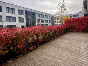 Pronájem bytu 3+kk, Praha - Smíchov, Grafická, 95 m2