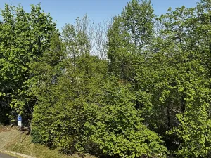 Pronájem bytu 2+kk, Praha - Strašnice, Na Třebešíně, 46 m2