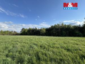 Prodej komerčního pozemku, Homole, 10254 m2