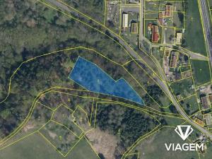 Prodej lesa, Dolní Krupá, 3736 m2