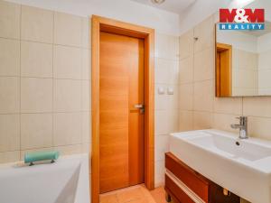 Pronájem bytu 3+kk, Plzeň - Severní Předměstí, Brněnská, 104 m2