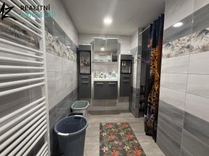 Pronájem rodinného domu, Zborovice, Lesní, 345 m2