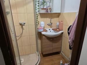 Pronájem pokoje, Praha - Holešovice, Bubenská, 18 m2