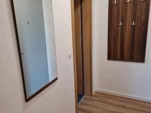 Pronájem bytu 1+kk, Kolín, Janovická, 30 m2