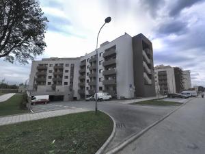 Pronájem bytu 1+kk, Brno, Kigginsova, 47 m2