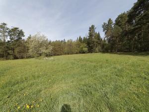 Prodej zemědělské usedlosti, Slabčice, 109 m2