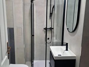 Pronájem bytu 1+1, Praha - Vinohrady, Velehradská, 43 m2