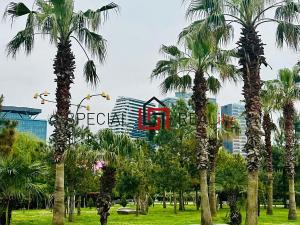 Prodej apartmánu, Batumi, Gruzie, Grigol Lortkipanidze Street, 32 m2