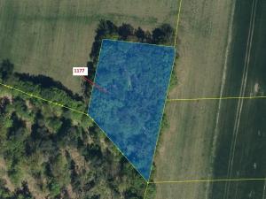 Dražba lesa, Vlčí Habřina, 4658 m2