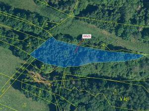 Dražba lesa, Újezd u Plánice, 2439 m2