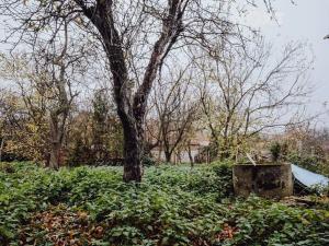 Prodej pozemku pro bydlení, Věteřov, 437 m2