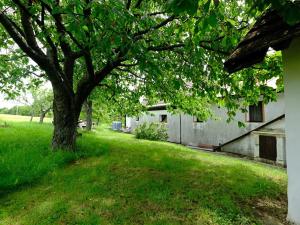 Prodej chalupy, Stříbrnice, 90 m2