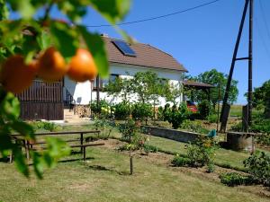 Prodej chalupy, Stříbrnice, 90 m2