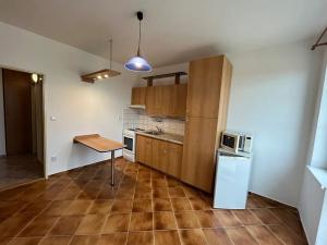 Pronájem bytu 1+1, Olomouc, Topolová, 41 m2