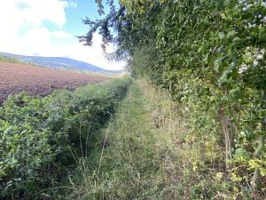 Prodej lesa, Lánov - Horní Lánov, 15278 m2