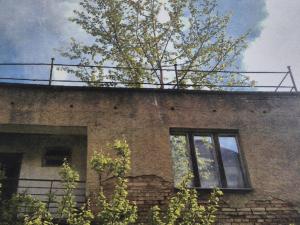 Prodej rodinného domu, Břasy - Vranovice, 138 m2