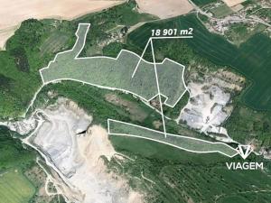 Prodej podílu lesa, Vyškov, 11163 m2