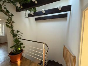 Prodej rodinného domu, Brno, Malostranská, 170 m2