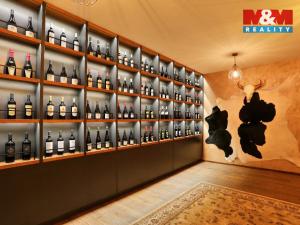 Prodej obchodního prostoru, Olomouc, Riegrova, 890 m2