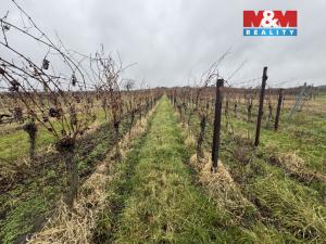 Prodej pole, Dolní Dunajovice, 6580 m2