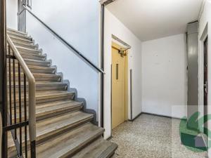 Pronájem bytu 2+kk, Mělník, Sportovní, 41 m2