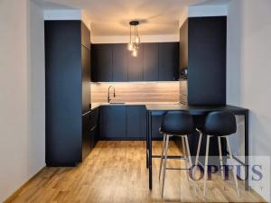 Pronájem bytu 2+kk, Praha - Karlín, Breitfeldova, 63 m2